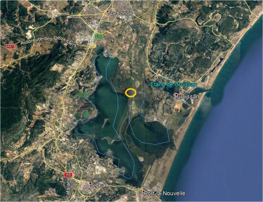 B&B Dutournebelle Narbonne Ngoại thất bức ảnh